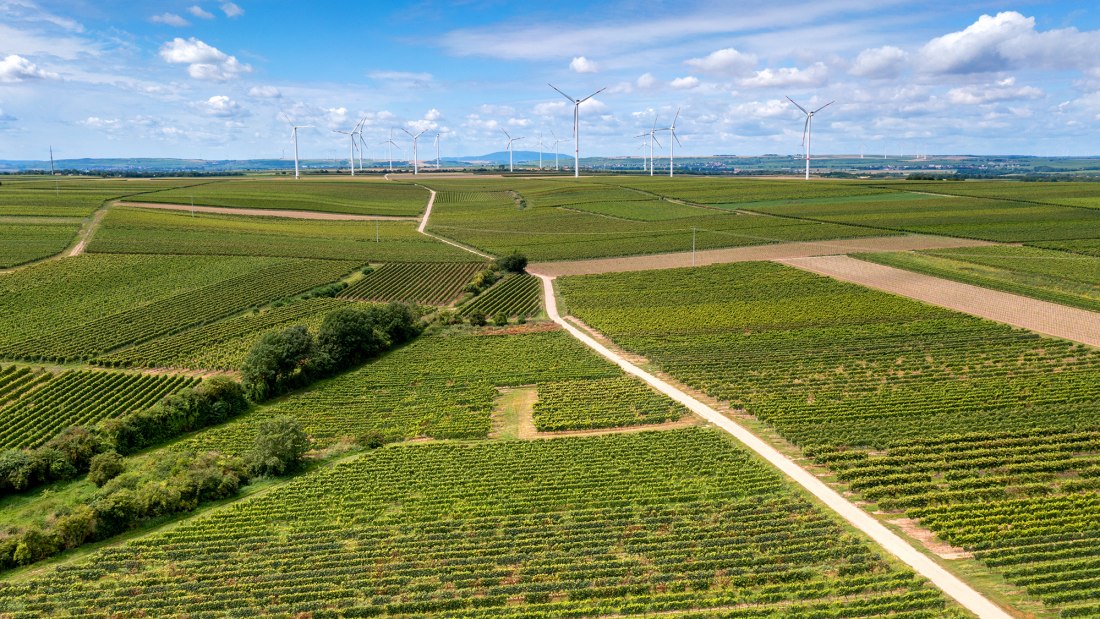 Herrnsheimer Schloß Herrnsheimer Schloß