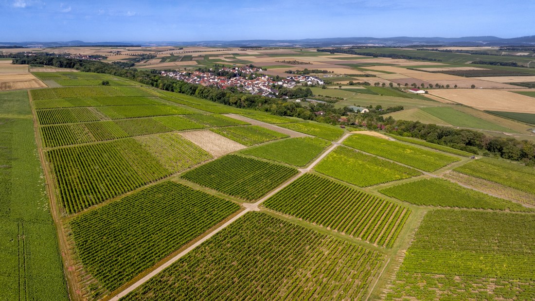 Nieder-Hilbersheimer Steinacker, © Torsten Silz Nieder-Hilbersheimer Steinacker, © Torsten Silz