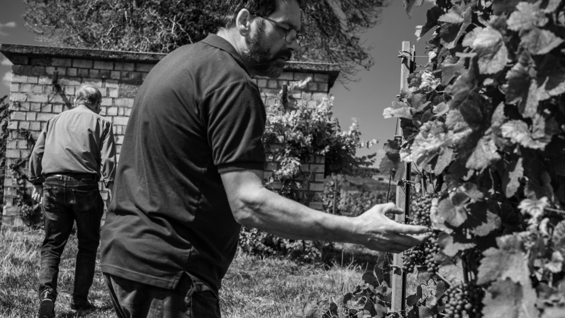 Huppert-7_klein Huppert-7_klein