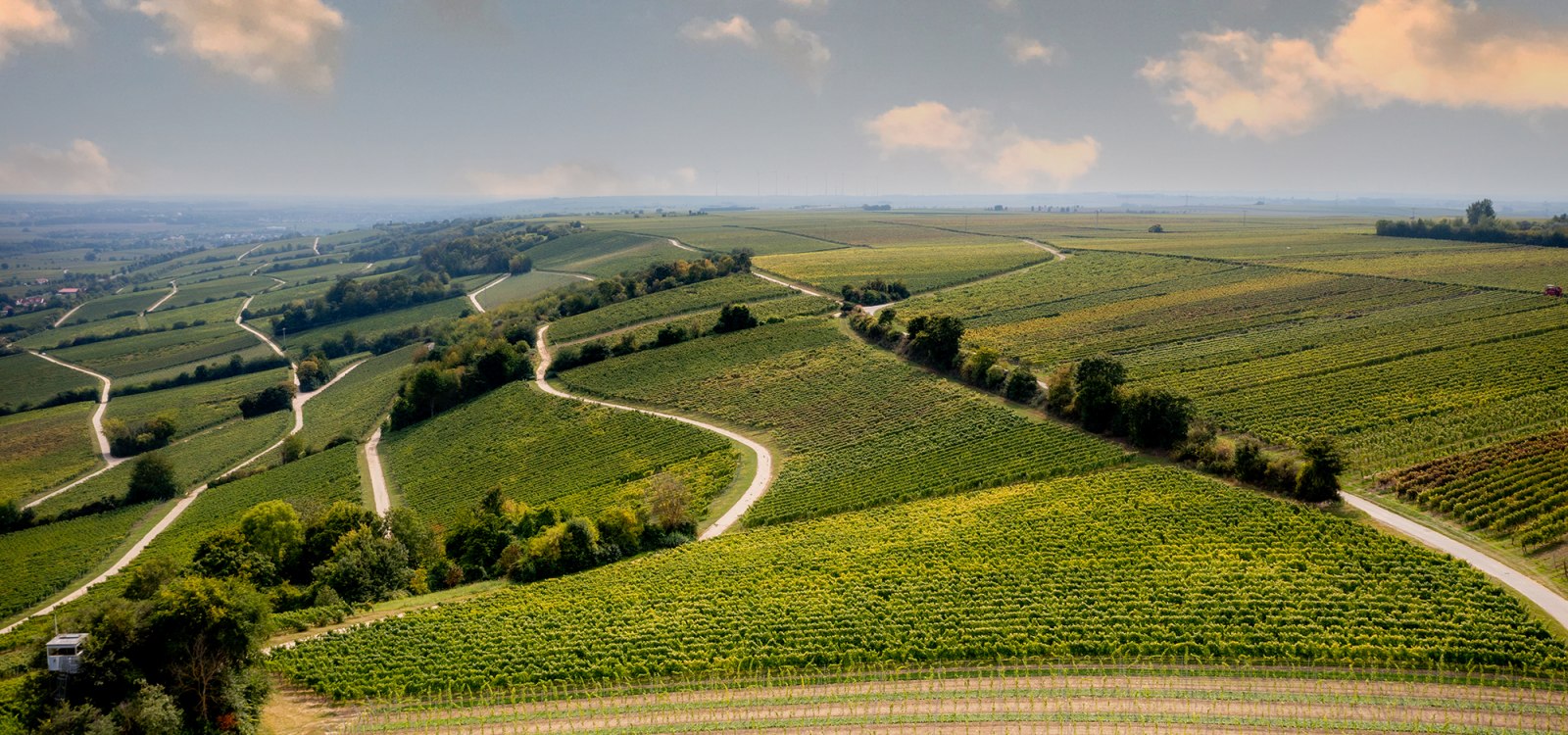 Oppenheimer Sackträger Oppenheimer Sackträger