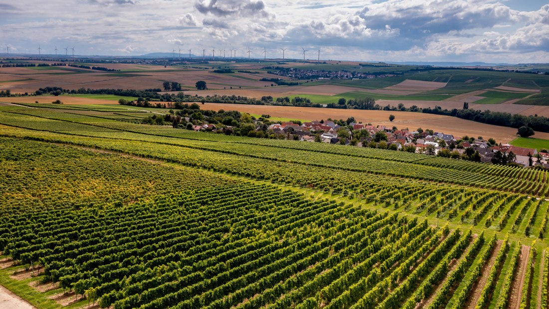 Sörgenlocher Moosberg Sörgenlocher Moosberg