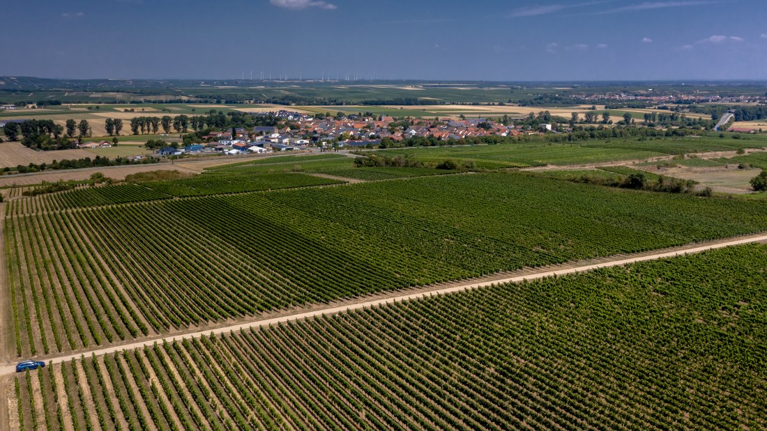 Mörstadter Nonnengarten Mörstadter Nonnengarten