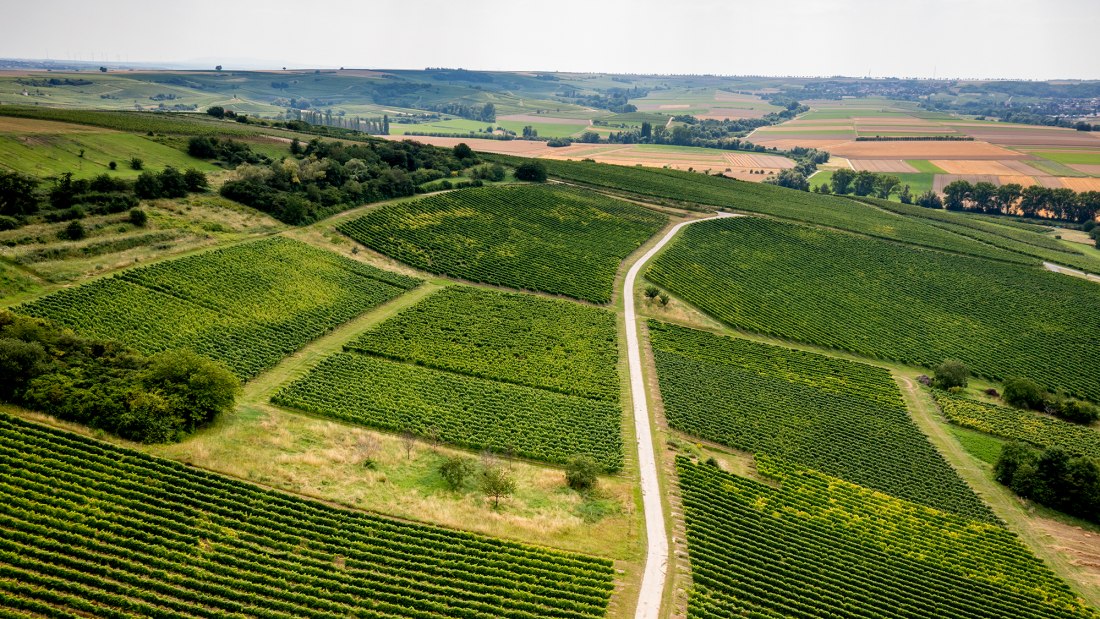 Stadecker Spitzberg Stadecker Spitzberg