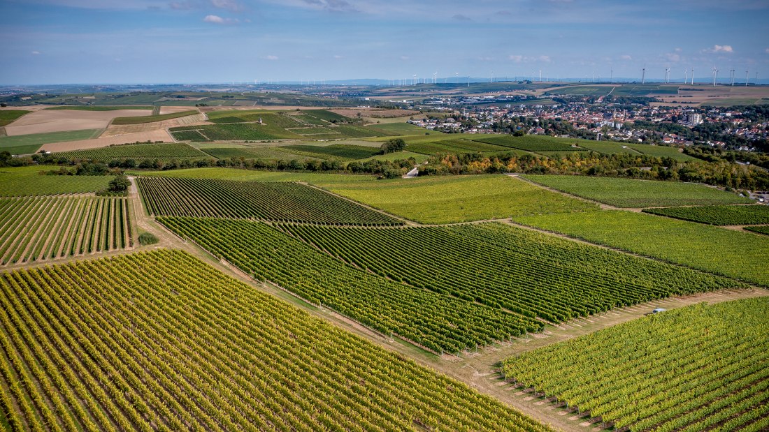 Alzeyer Rotenfels Alzeyer Rotenfels