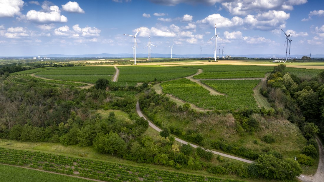Mörstädter Katzebuckel, © Torsten Silz Mörstädter Katzebuckel, © Torsten Silz