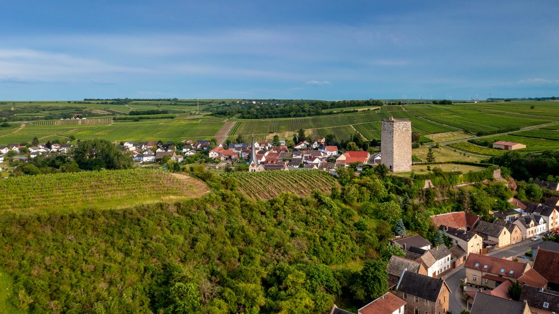 Niersteiner Schloß Schwabsburg Niersteiner Schloß Schwabsburg
