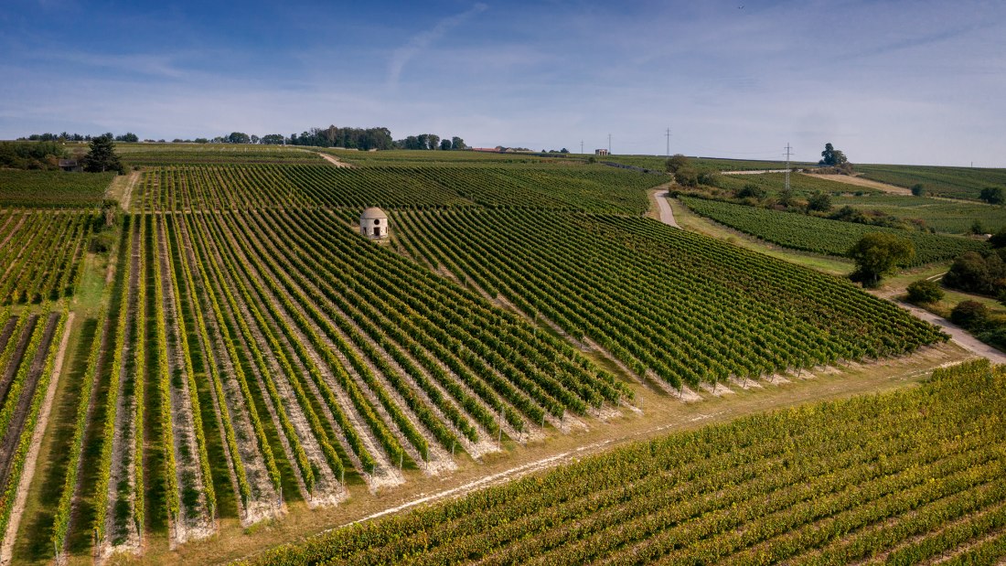 Elsheimer Bockstein Elsheimer Bockstein