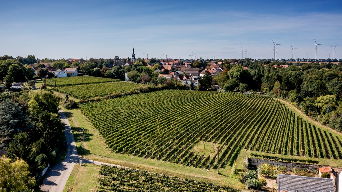 Flomborner Feuerberg Flomborner Feuerberg