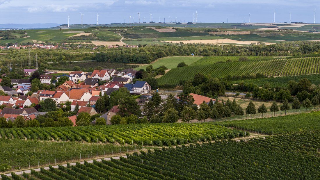 Bermersheimer Hildegardisberg Bermersheimer Hildegardisberg