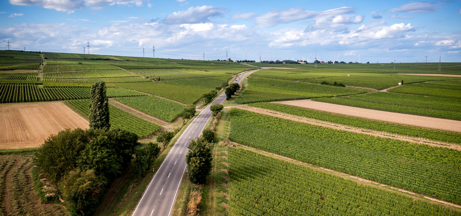 Westhofener Aulerde Westhofener Aulerde