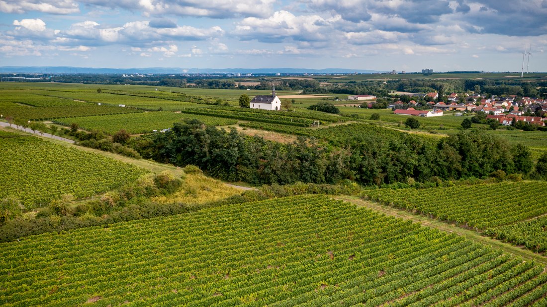 Abenheimer Klausenberg, © Torsten Silz Abenheimer Klausenberg, © Torsten Silz