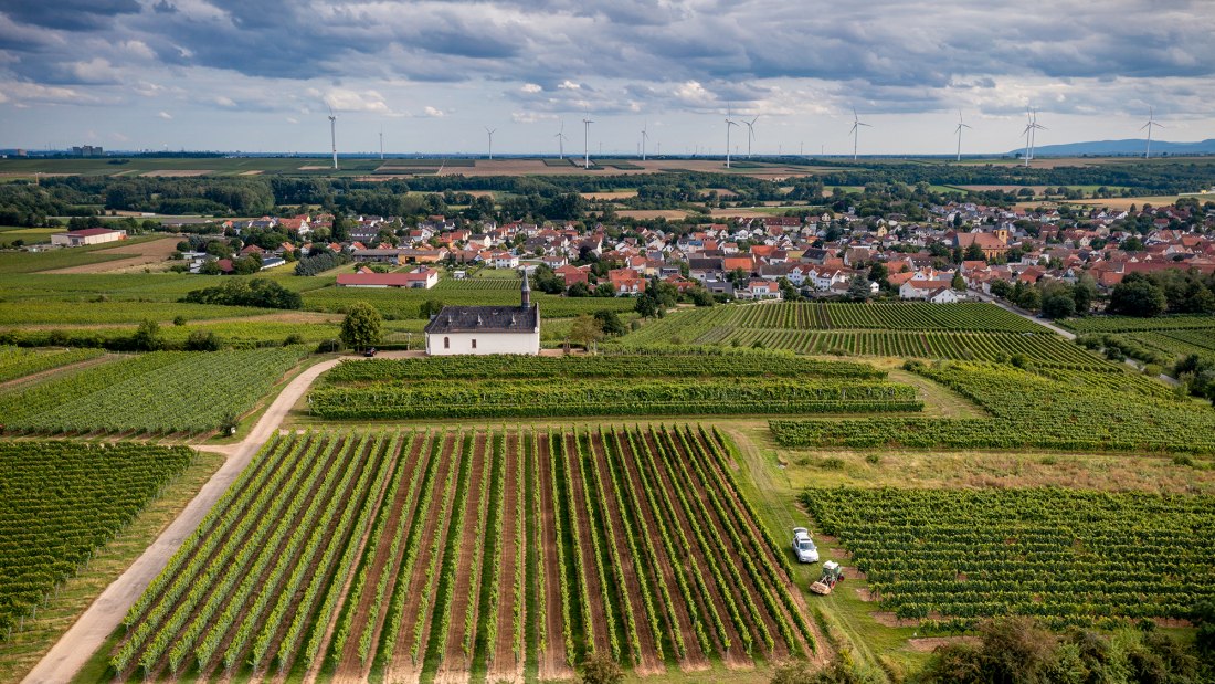 Abenheimer Klausenberg, © Torsten Silz Abenheimer Klausenberg, © Torsten Silz