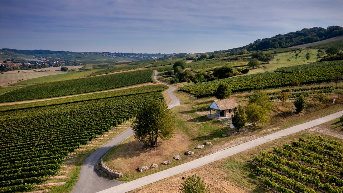 Sprendlinger Wißberg Sprendlinger Wißberg
