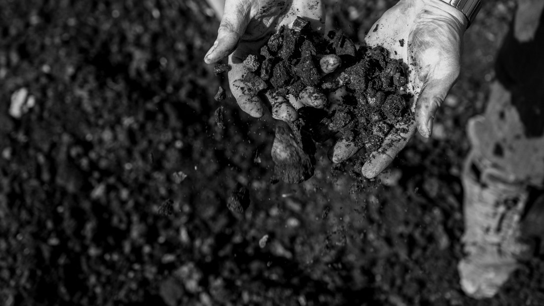 Huppert_Titelbild Huppert_Titelbild