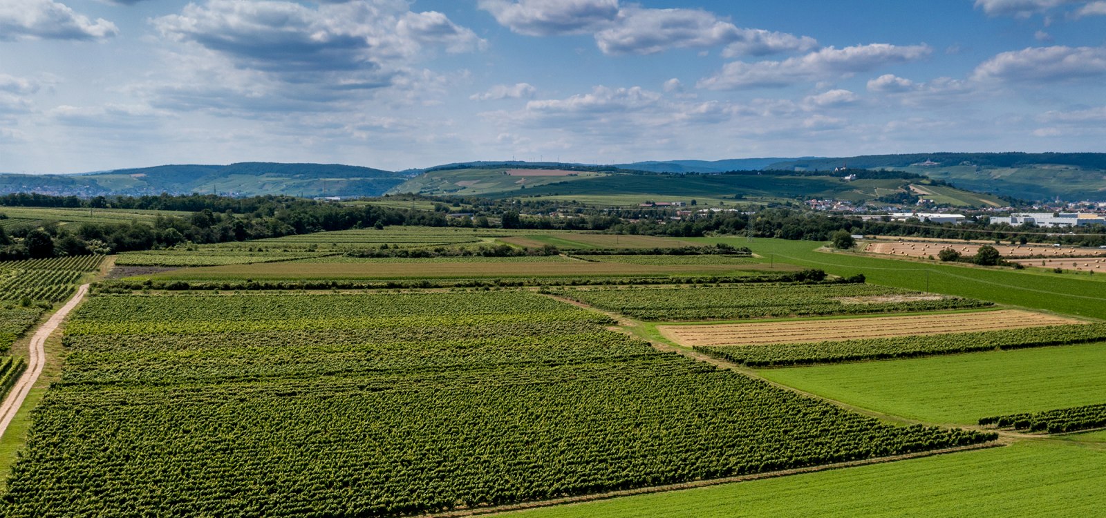 Ockenheimer Kreuz Ockenheimer Kreuz