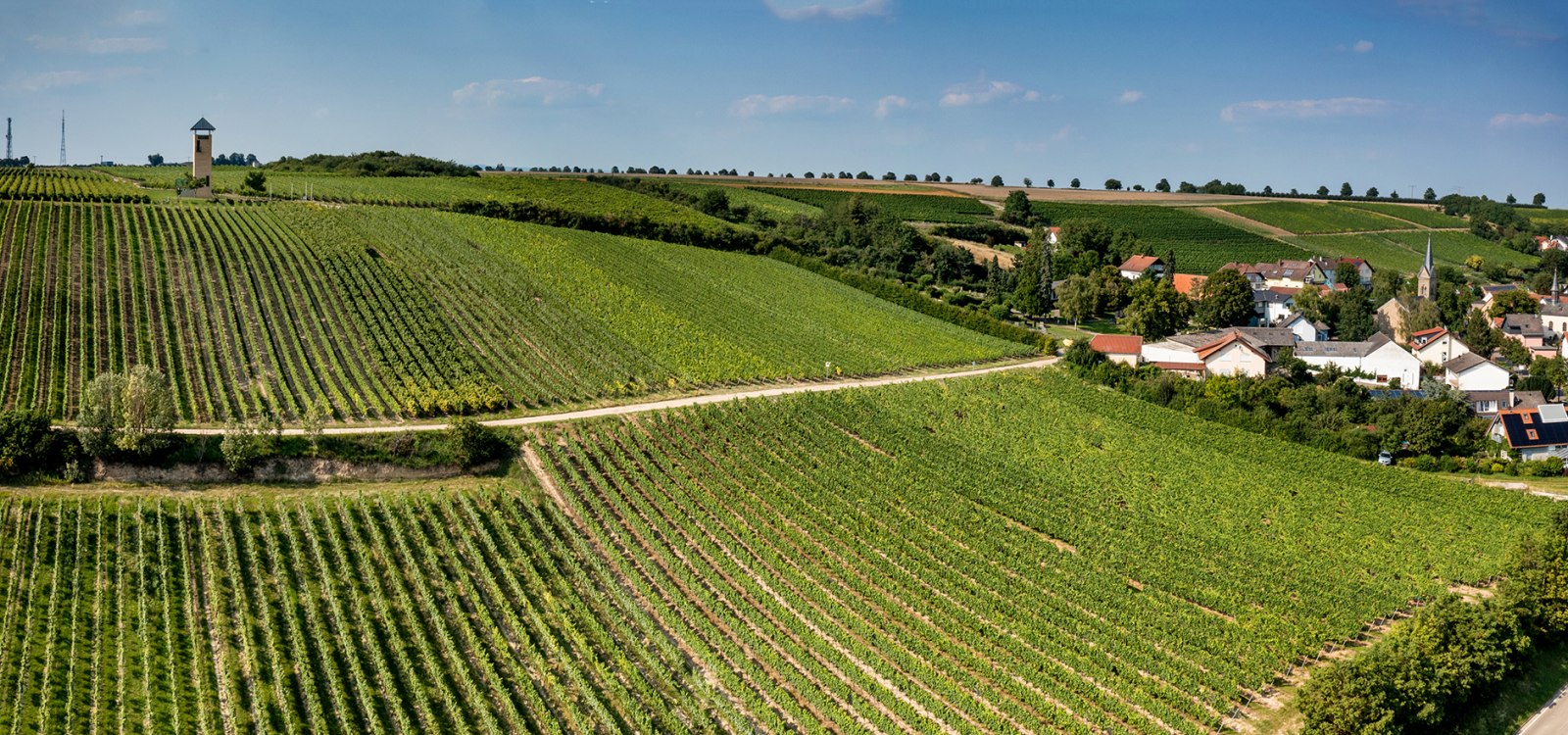 Vendersheimer Sonnenberg Vendersheimer Sonnenberg