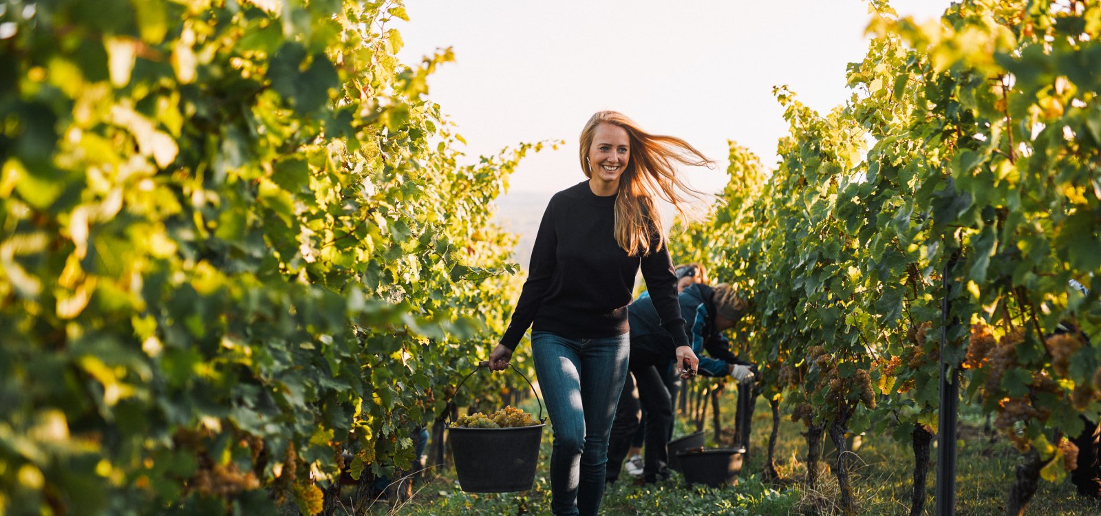 © Juwel Weine, Peter Bender © Juwel Weine, Peter Bender