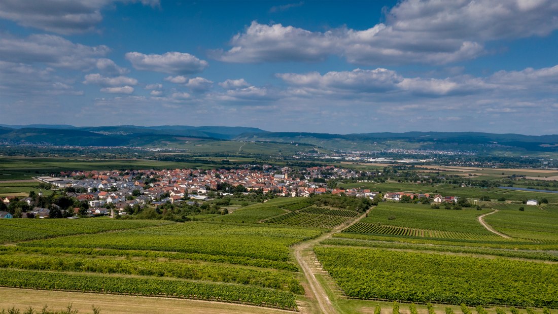 Ockenheimer St. Jakobsberg Ockenheimer St. Jakobsberg