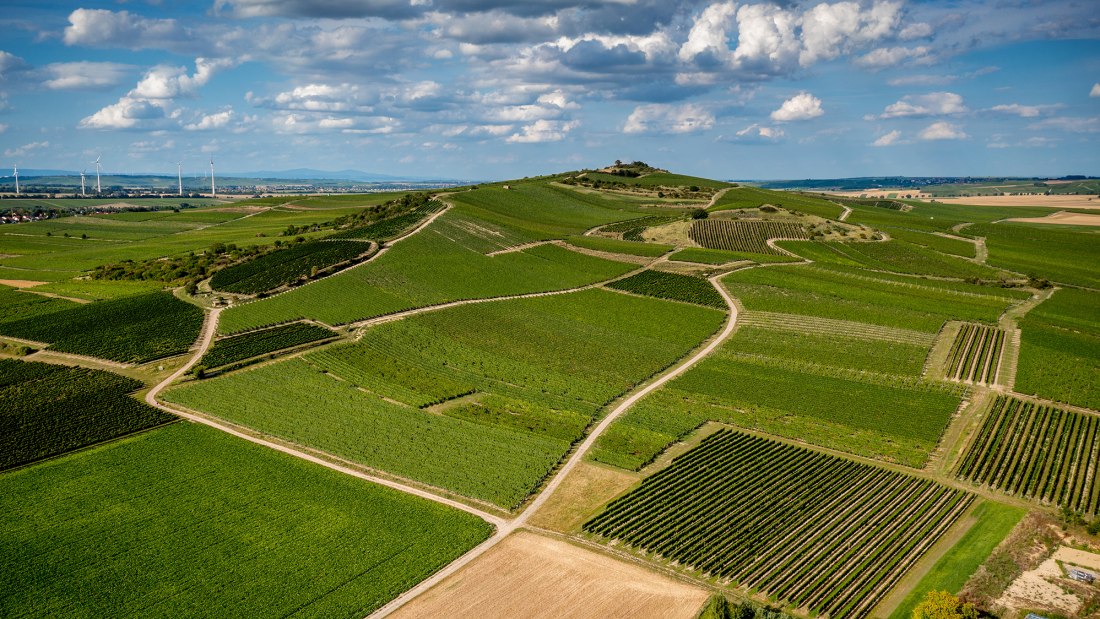 Gau-Odernheimer Herrgottspfad Gau-Odernheimer Herrgottspfad