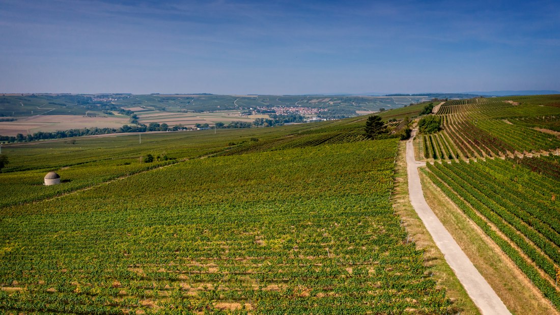 Elsheimer Bockstein Elsheimer Bockstein