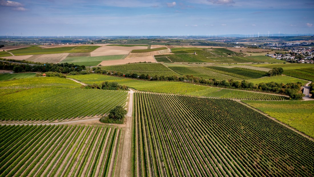 Alzeyer Rotenfels Alzeyer Rotenfels