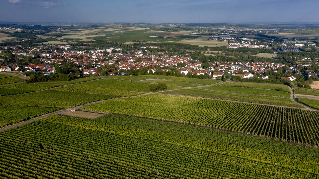 Nieder-Olmer Klosterberg Nieder-Olmer Klosterberg