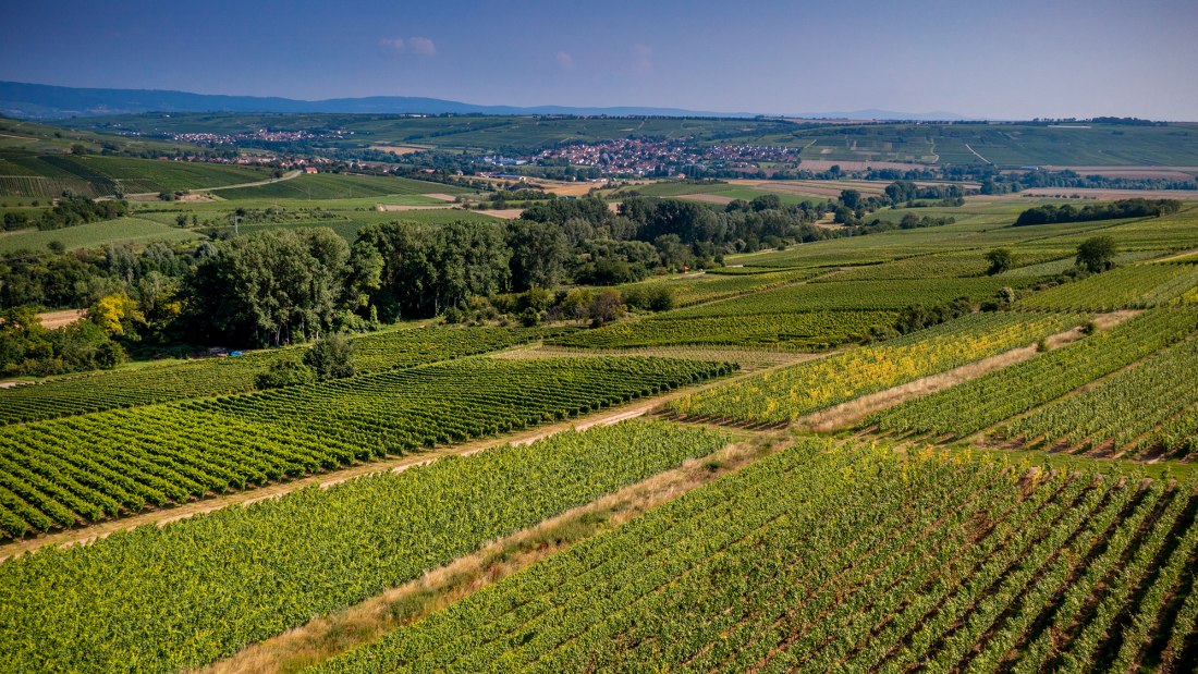 Engelstadter Adelpfad Engelstadter Adelpfad