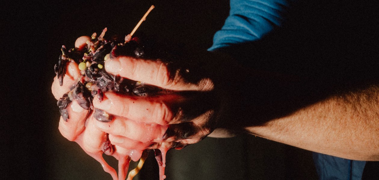 Ökologischer Weinbau Huster_Tobias Huster Weinbereitung, © Ökologischer Weinbau Huster Ökologischer Weinbau Huster_Tobias Huster Weinbereitung, © Ökologischer Weinbau Huster