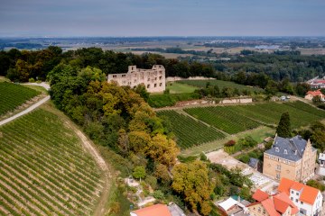 Oppenheimer Herrenberg Oppenheimer Herrenberg