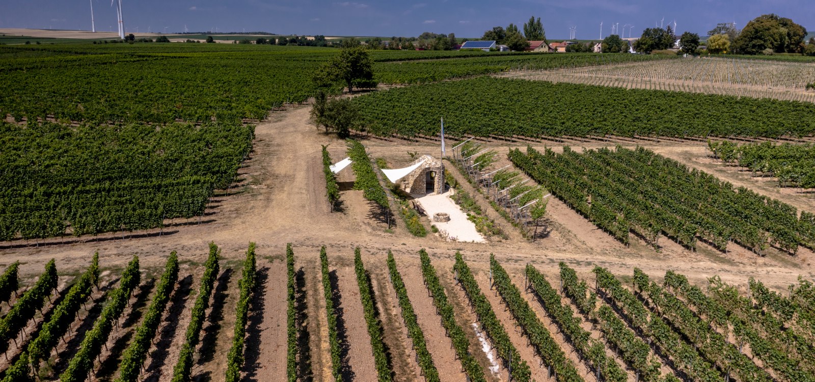 Bermersheimer Seilgarten Bermersheimer Seilgarten