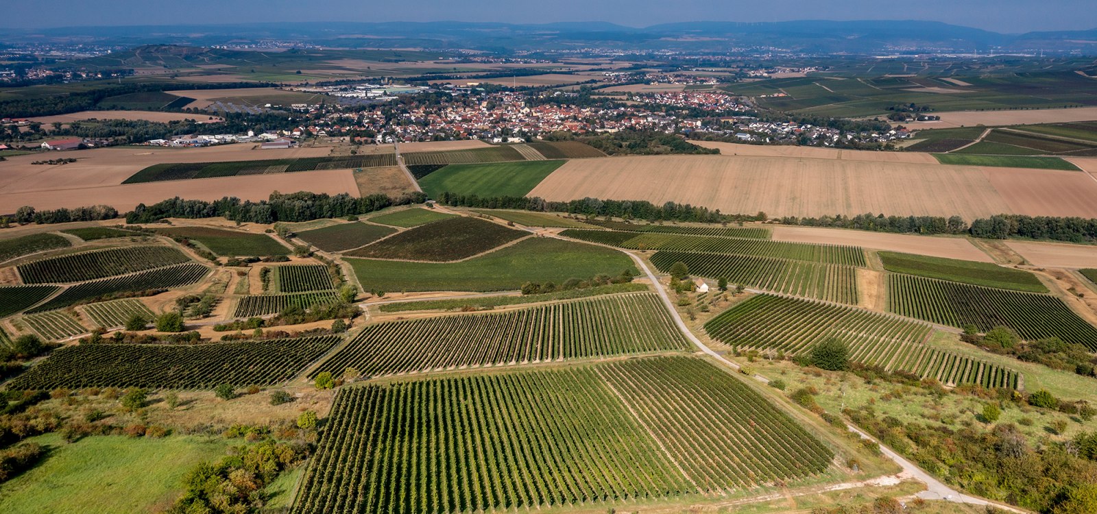 Sprendlinger Wißberg Sprendlinger Wißberg