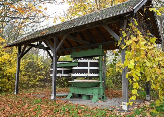 Kelter © Touristikverein Wonnegau e.V. Kelter © Touristikverein Wonnegau e.V.