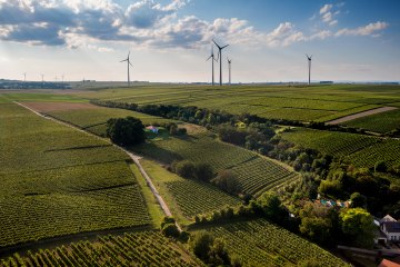 Alsheimer Fischerpfad Alsheimer Fischerpfad