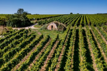 Dienheimer Tafelstein Dienheimer Tafelstein