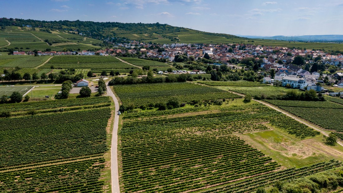 Ockenheimer Kreuz Ockenheimer Kreuz