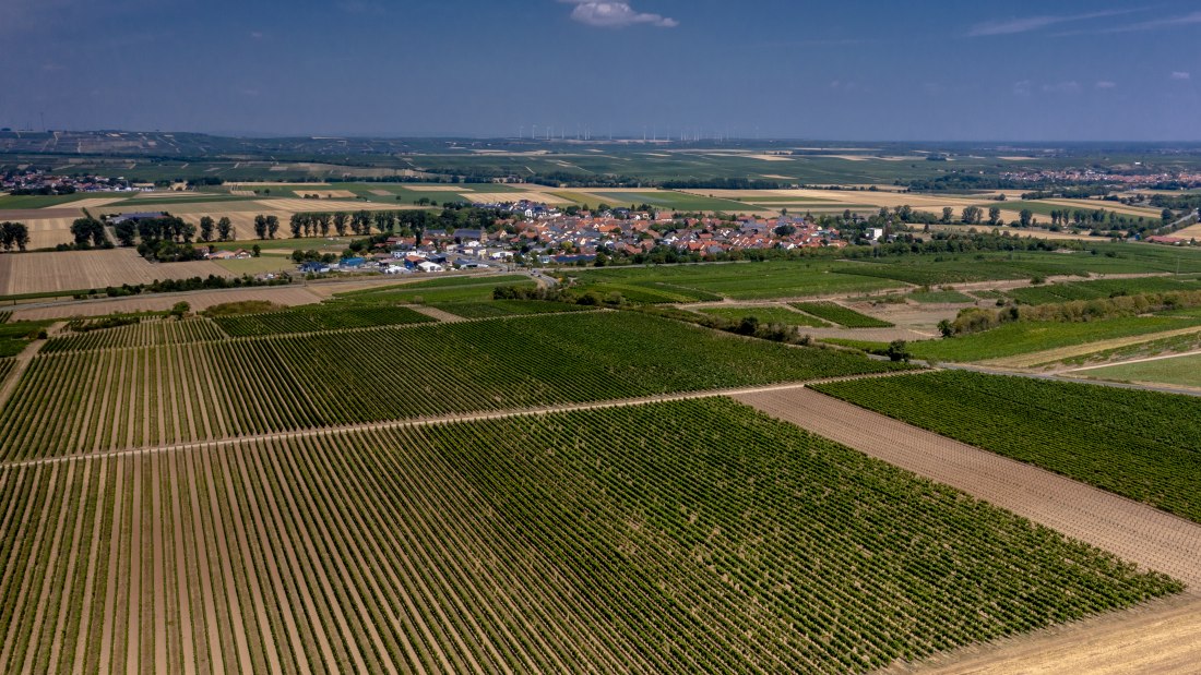 Mörstadter Nonnengarten Mörstadter Nonnengarten