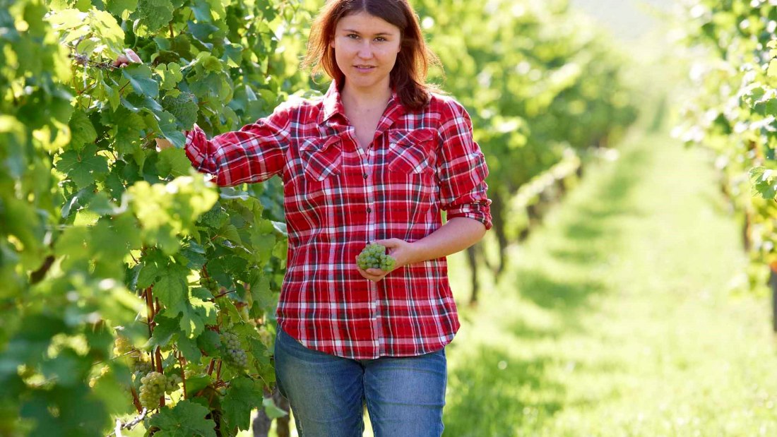 Weingut Wechsler_Weinberg und Winzerin, © Weingut Wechsler Weingut Wechsler_Weinberg und Winzerin, © Weingut Wechsler