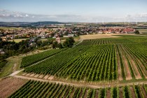 Wöllsteiner Ölberg Wöllsteiner Ölberg