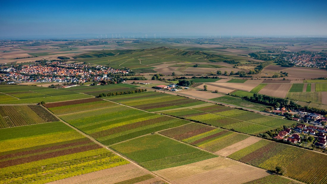 Biebelnheimer Pilgerstein Biebelnheimer Pilgerstein