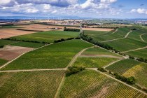 Zornheimer Vogelsang Zornheimer Vogelsang