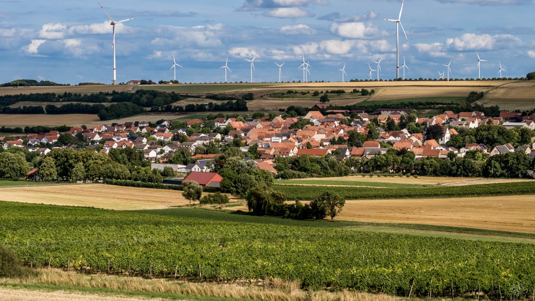 Mauchenheimer Sioner Klosterberg Mauchenheimer Sioner Klosterberg