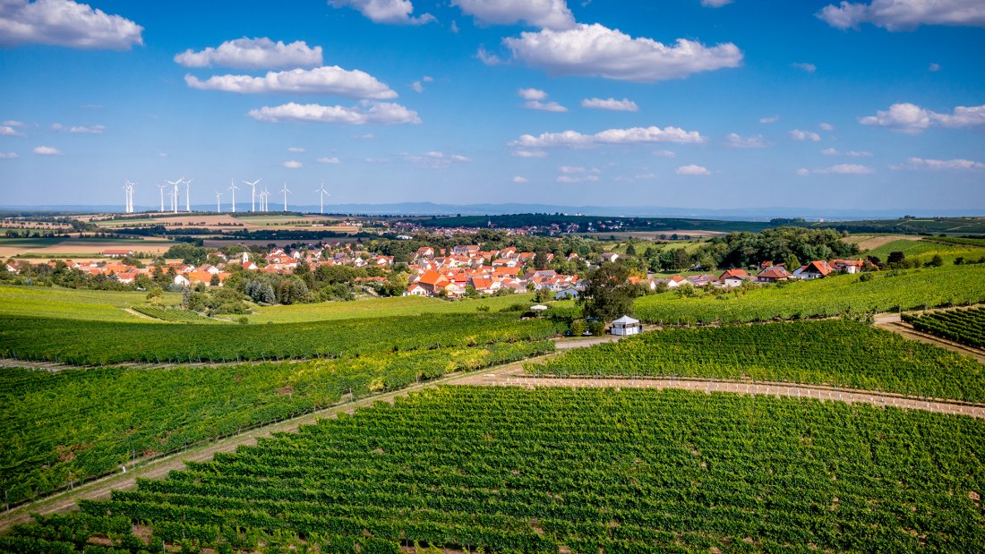 Dittelsheimer Geiersberg Dittelsheimer Geiersberg