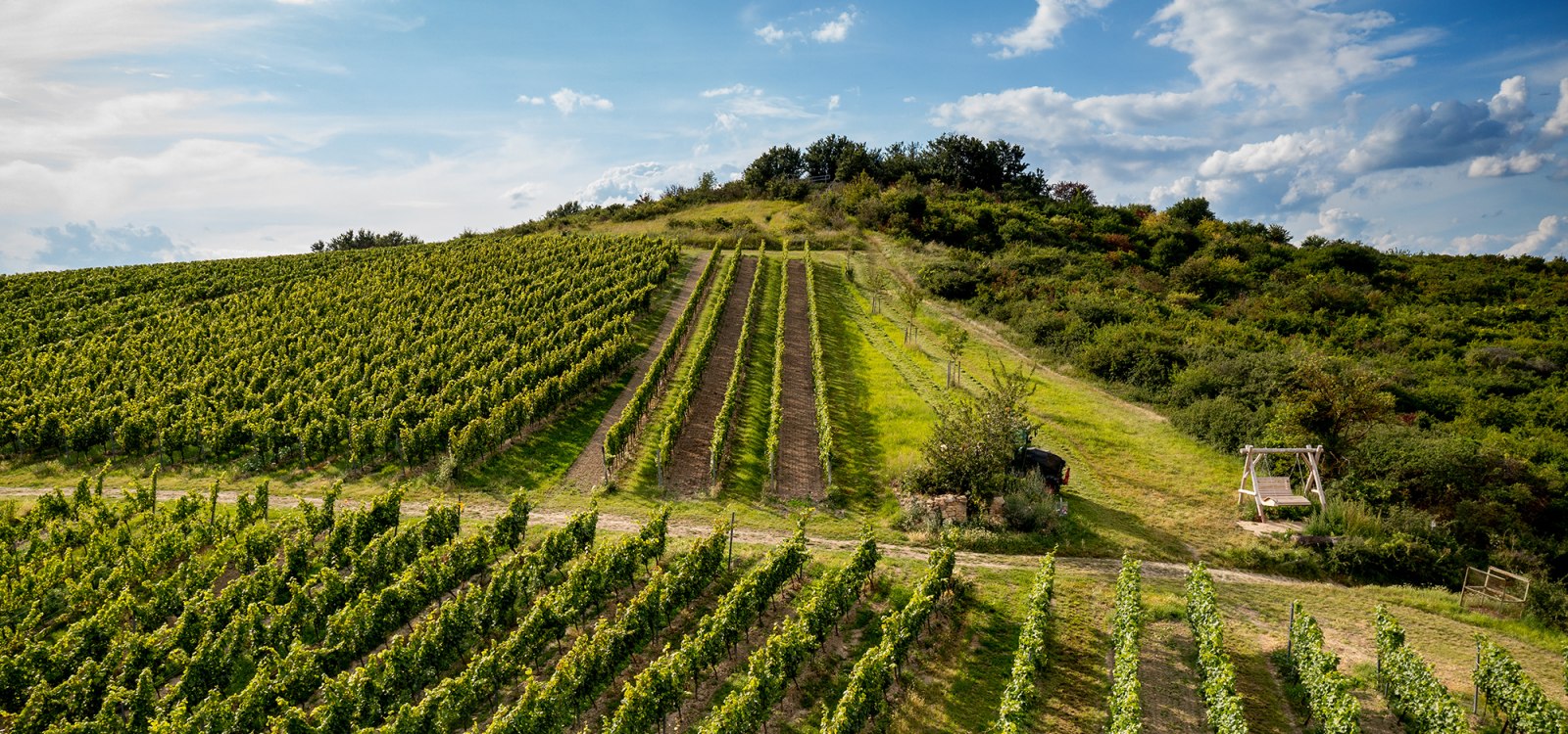 Gau-Odernheimer Herrgottspfad Gau-Odernheimer Herrgottspfad