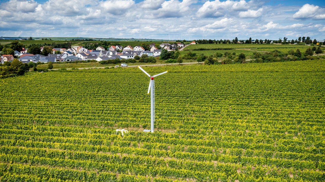 Hohen-Sülzener Kirchenstück Hohen-Sülzener Kirchenstück