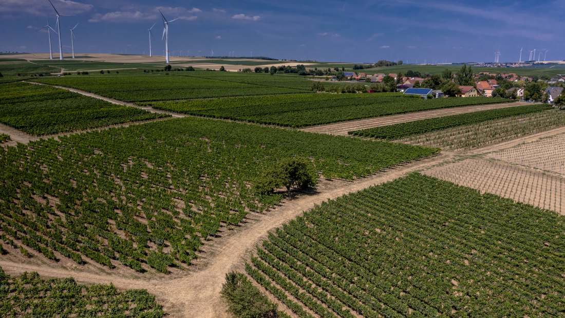 Bermersheimer Seilgarten Bermersheimer Seilgarten