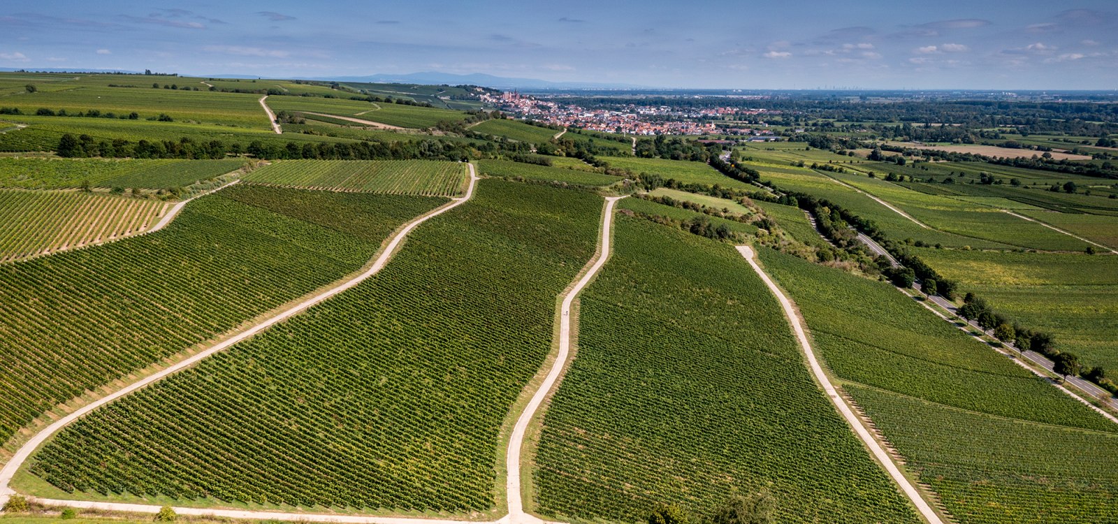 Dienheimer Tafelstein Dienheimer Tafelstein