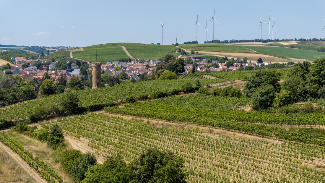 Weinheimer Heiliger Blutberg, © Torsten Silz Weinheimer Heiliger Blutberg, © Torsten Silz