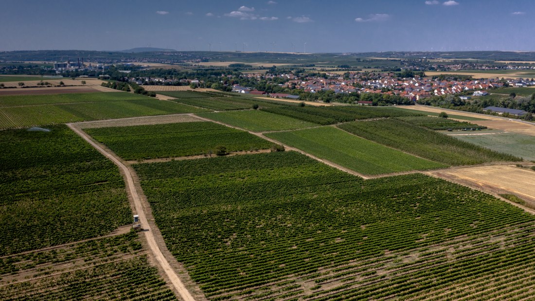 Offsteiner Engelsberg Offsteiner Engelsberg