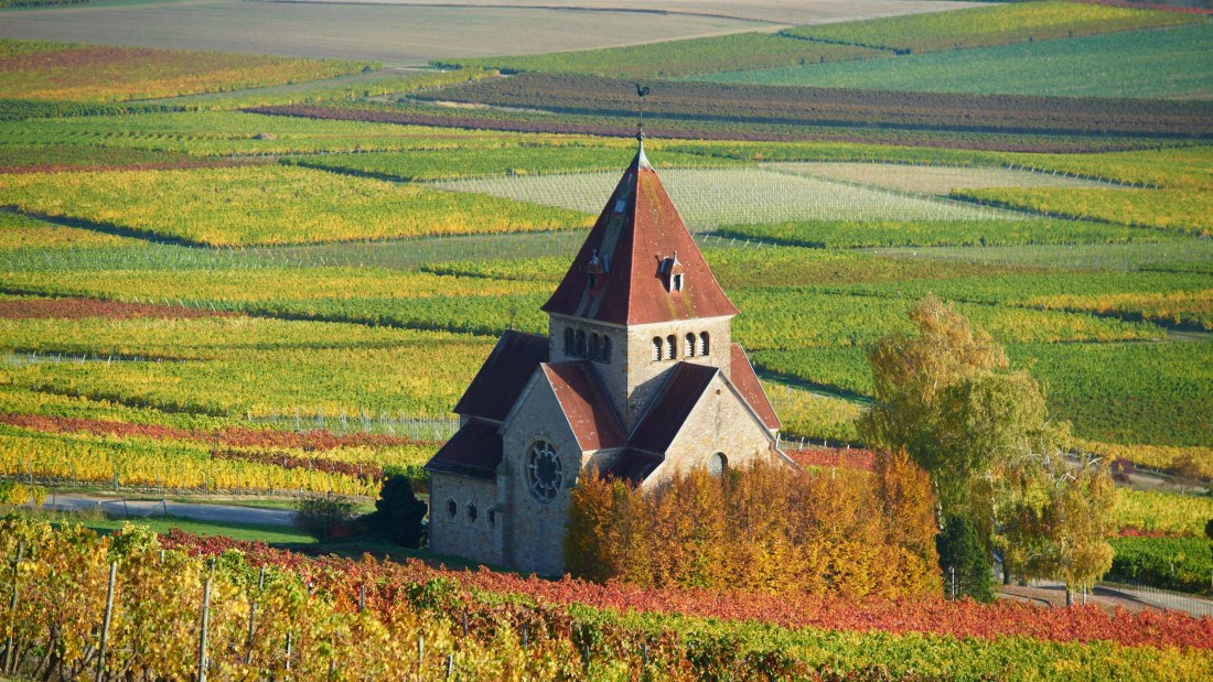 wine_location/wissberg_1.jpg, © Robert Dieth wine_location/wissberg_1.jpg, © Robert Dieth