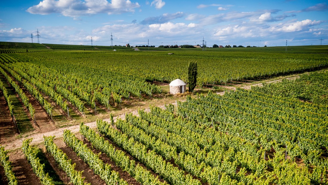 Westhofener Aulerde Westhofener Aulerde